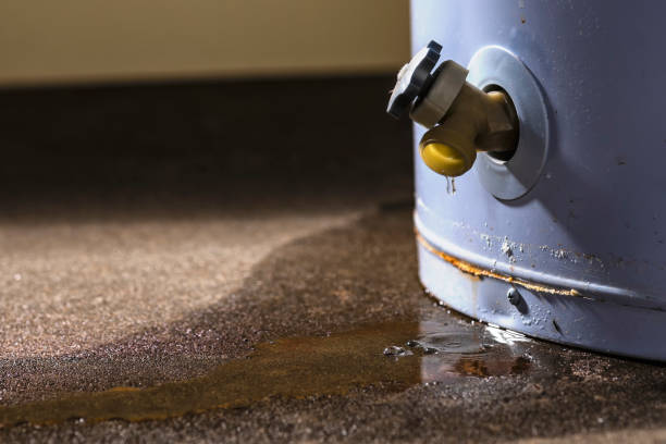 Best Water damage restoration near me  in New Hope, OR