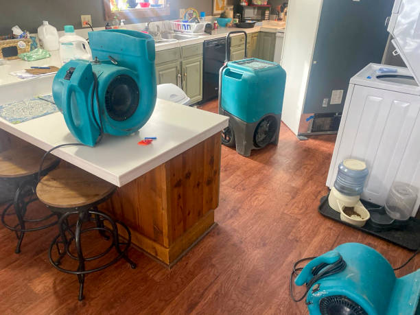 Best Ceiling water damage repair  in New Hope, OR