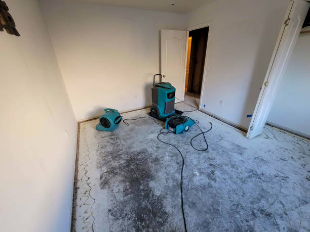 Best Basement water damage restoration  in New Hope, OR