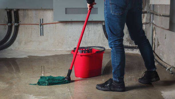 Best Professional water damage repair  in New Hope, OR
