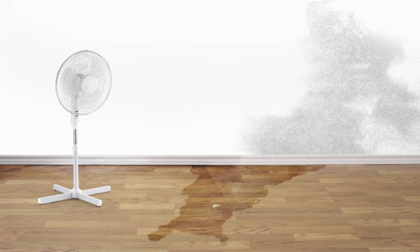 Best Water damage contractors near me  in New Hope, OR