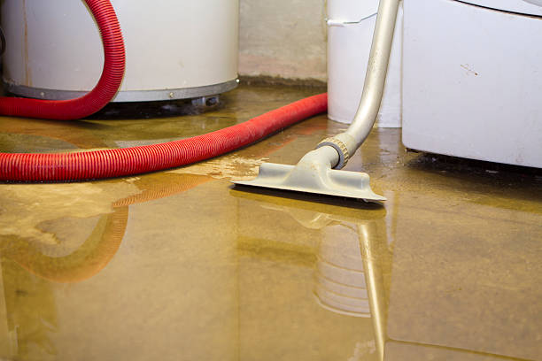 Best Water damage restoration mold remediation  in New Hope, OR