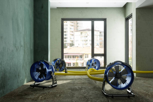 Reliable New Hope, OR Water damage restoration Solutions